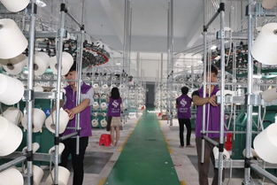 麗富藝集團(tuán)各生產(chǎn)廠工作動態(tài)